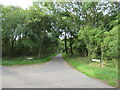 Stockalls Lane, near Great Munden