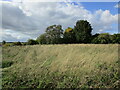 Waste ground, Radmanthwaite