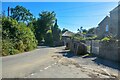 Withiel : Country Lane