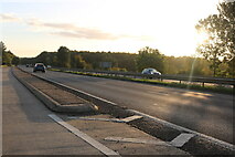 TL8584 : Layby on the A11 Thetford Bypass by David Howard