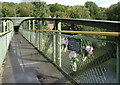 SJ6902 : Flowers on the Bridge by Des Blenkinsopp