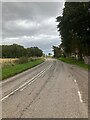 NH6389 : A949 to Spinningdale by Dave Thompson