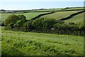 Farmland, Redruth