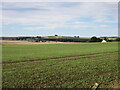 Field west of Barthol Chapel