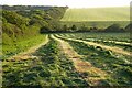 Farmland, St Agnes