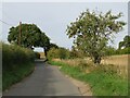 TL3422 : Lane near Puckeridge by Malc McDonald