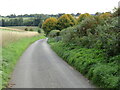 TL3222 : Lane near Dane End, Hertfordshire by Malc McDonald