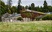 X1896 : 'Old Cappagh House', Cappagh, Co. Waterford (1) by Mike Searle