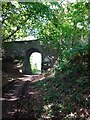 Bridge over Trevithick Trail