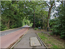 TQ3039 : Shipley Bridge Lane, Copthorne by Robin Webster