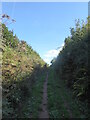 SX8043 : Bridleway between high banks, leading to Coleridge Cross by Rod Allday