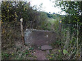 Stone Stile, Blakeney Hill