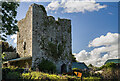 R3941 : Castles of Munster: Amogan More, Limerick (1) by Mike Searle