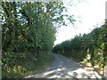 Single track road to Llwyn-y-brain