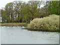 Alexandra Lake, Wanstead Flats