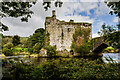 W4172 : Castles of Munster: Carrigadrohid, Cork (revisited 2022) (1) by Mike Searle