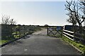 RSPB Dungeness