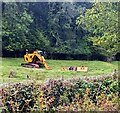 SO3729 : Yellow JCB in a Dulas field, Herefordshire by Jaggery
