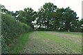 Footpath out onto Whempstead Road