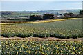 Farmland, Perranzabuloe