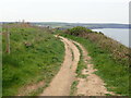 The Coast Path nearing Broad Haven