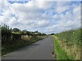 Approaching Blackadder North Lodge