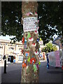 SY6878 : Decorated tree outside the brewery by Neil Owen