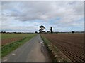 Ox Pasture Lane