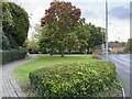 Llandough Village Green