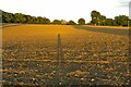 Unmarked footpath heading east by Church Wood