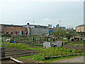 Vicarage Lane Allotments South