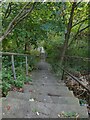 Steps down to Bankfield Road