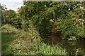 Basingstoke Canal close to Vale Road, Ash