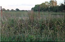 TL9376 : Field by Heath Road by David Howard