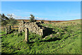 NY9753 : Ruin near site of Acton High Mill by Andrew Curtis