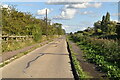 Path by Thames and Medway Canal