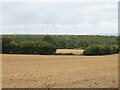 Farmland and woodland