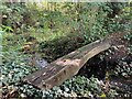 Log Bridge at Cave Pond