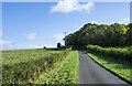 Access road for Kirkbarrow