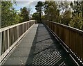 Bridge over A82: Luss