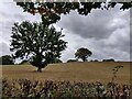 Farmland near Lye Head