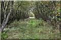 NT6342 : Gordon Moss Nature Reserve by Walter Baxter