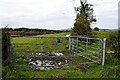 Muddy entrance to field, Corrasheskin