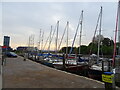 Moored boats