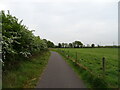 Path adjacent to Marchwood Road