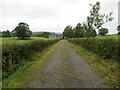 Hedge-lined track giving access to Old Sauchie Mill and Cottages