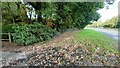 Verge beside northbound A167 near Chester Dene