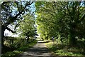 Acre Lane leaving Threekingham