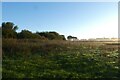 Fields beside Windmill Lane