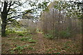 Footpath near Burnt House